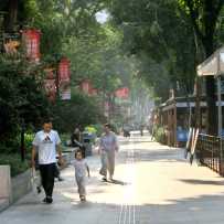 洒满阳光长涪汇