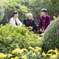 鹅岭菊花展