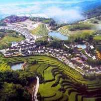 美丽乡村---万松村